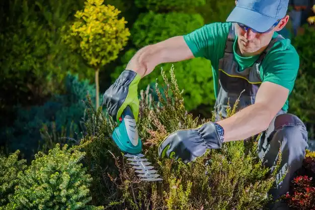 landscaping services Chittenango